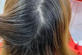 全新的染发概念，用不同的方法盖白发，简单实用图片