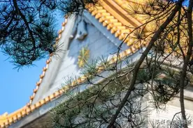 这份长春伪满皇宫博物院“五一”春日旅行攻略，请收好！图片