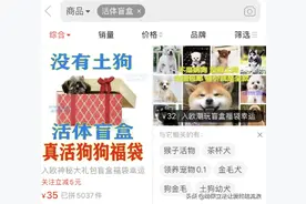 隐秘的电商生意：我花35块网购，收到一具尸体图片