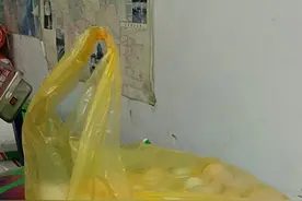 无抗鸡蛋什么好？怎么辨别真伪图片