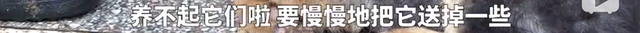 日本电影鸡皮疙瘩百度云资源