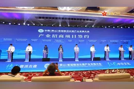 香港卫视综合台今晚播出：《传承徽派古建文脉 产业创新再出发》图片