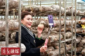 汝阳“香菇西施”直播带货忙 闯出致富新路径图片