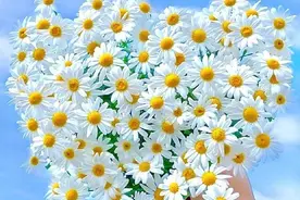 不要相信他们，这三个星座说分手心口不一，只是想要测试恋人图片