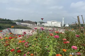 变“废”为宝！内江市生活垃圾填埋场迎来“春天”图片