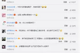 冲上热搜！市民报警称贵州一地路边惊现狮子？民警看到惊呆图片