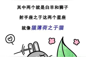 容易喜欢上射手座的三大星座图片