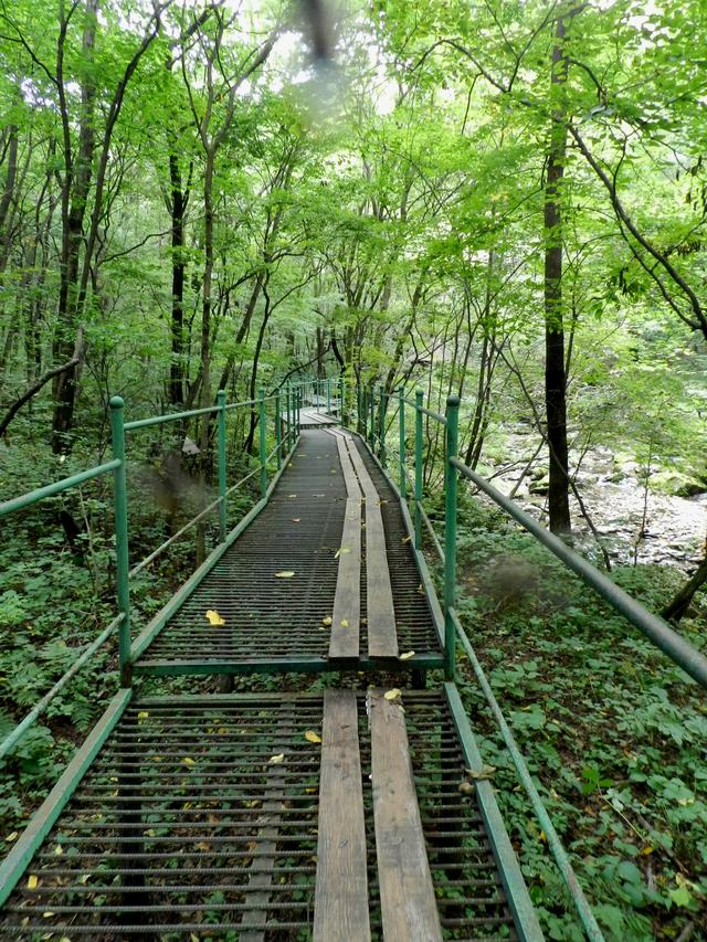 重走抗联路——本溪关门山森林公园鸣翠谷景区抗联秘营