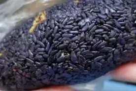 南京“最神奇早餐”，个个像地雷，一出锅就抢光，十个人都忙不过图片