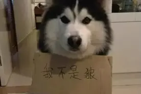 开心笑话：楼下超市老板老板娘吵架，老板娘一气之下回了娘家图片