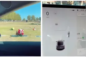 化身阴间探测器？特斯拉又出大新闻图片