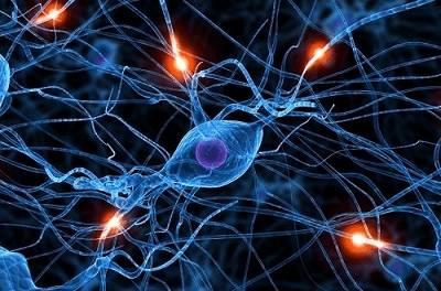 肽的十大功效与作用图解 2026年肽的十大功效与作用图解视频