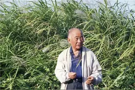 汪曾祺：中国最高学府培养出来的顶尖作家，一生却偏爱吃喝玩乐图片