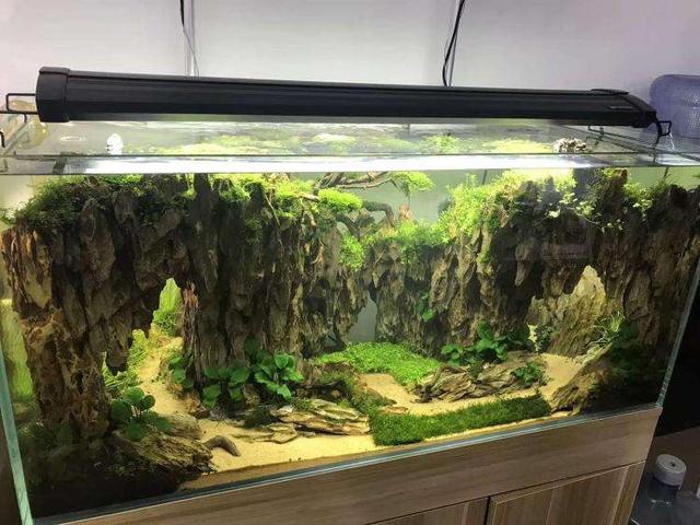 养鱼避免不了铺底沙，不同鱼搭配不同底沙，如何选择变得尤为重要