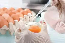 鸡肉、鸡蛋、淡水鱼检出兽药，如何挑选才能放心？其中大有门道图片