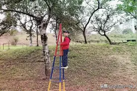 我的旅行日记图片