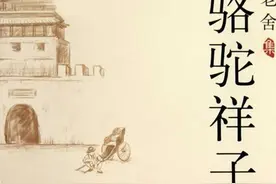 仁者见仁，智者见智——骆驼祥子的“一体两面”图片