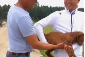 失敬，原来这才是最火的“钓系男神”图片