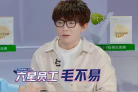 5年5季却越做越“糊”？这档综艺为什么捧不出下一个“毛不易”图片