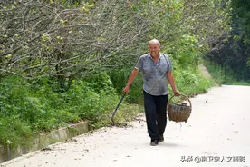 苹果长得同鸡蛋一样大，农民大叔摘90斤卖了18元，看啥样图片