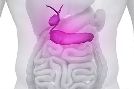 乙肝病毒对全身脏器有哪些危害？专家告诉你图片