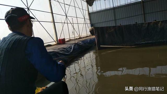 正确的锚鱼方法，黑坑高手秘而不宣的反黑术