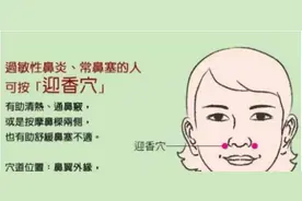 迎香穴主治：鼻塞不闻香臭，偏风口喎，面痒浮肿，风动叶落图片