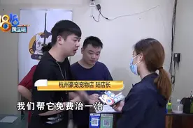 搭配狗粮延长售后，捆绑消费还是生意经图片