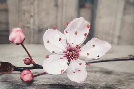 中年男人的桃花运，是靠自己“折腾”出来的图片