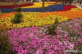 老公回来了图片