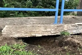 桥底传出诡异声，花一个小时挖地洞，抱出6只藏身小猫咪图片