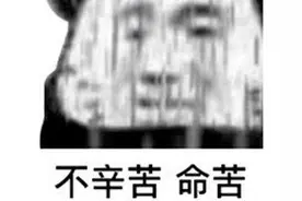 沙雕熊猫头表情包第三弹图片
