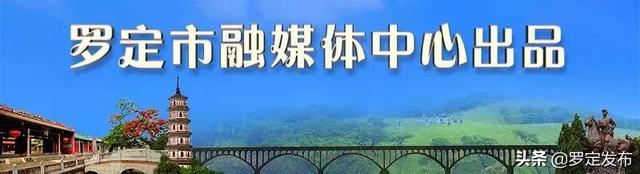 罗定市举办新媒体社交电商技能实操研修班