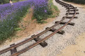 寸轨、米轨、准轨图片