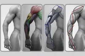 还是不会画人体？人体结构练习步骤图片