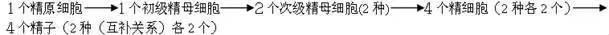 高中生物13大重要规律和公式，暑假好好背