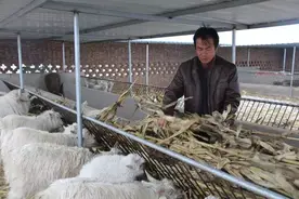 「脱贫攻坚在行动」一股文明新风吹暖靖边大地～图片