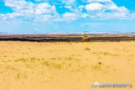 绿洲一号：遏制草原退化治本之策图片