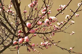 有一种爱，每时每刻都在想着你，想你念你，是我一生不变的初心图片