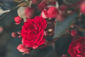 爱情里，再心动，也要熬过一段时间的“冷静”图片