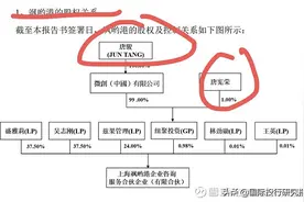 打工皇帝唐骏在和投资人对赌IPO最后时刻成为迪威迅第一大股东图片