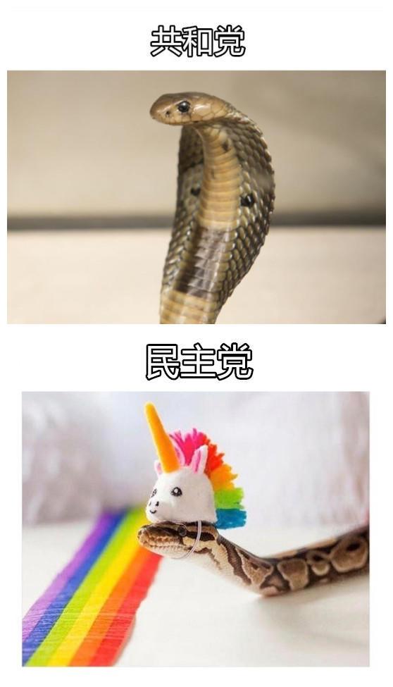 乳钉对身体有危害吗