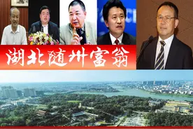 湖北随州浮现4位富翁，1个昔日国产手机巨头？催生2家上市公司图片