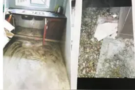 杭州男子新房还未入住，遇上污水反流 法院：这样赔图片