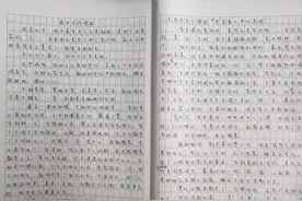 国家特等奖作品《点》，构思精巧，妙用诗文，可为高考作文的范文图片