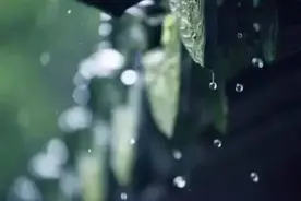 散文：中年听雨，未必是孤独与沧桑图片