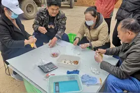 蚕桑业铺就致富路 贫困户心里乐开花图片
