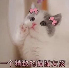 瀛曟湡韬綋涔充粈涔堢墝瀛愬ソ锛熺洏鐐瑰彛纰戞渶濂界殑10澶у搧鐗屾斁蹇冪敤