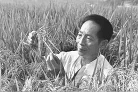 接生了袁隆平，钟南山叫她姑婆，她是鼓浪屿的女儿.....图片