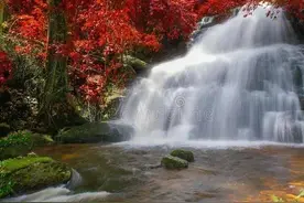 大家好才是真正好，别人好自己才会更好图片